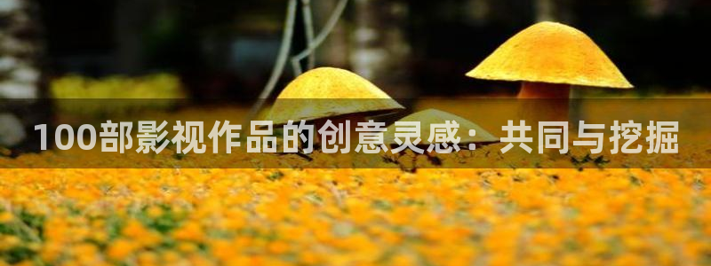極速影院電視?。?00部影視作品的創(chuàng)意靈感：共同與挖掘